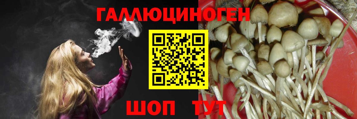 Галлюциногенные грибы Psilocybine cubensis  Галлюциногенные грибы GOLDEN TEACHER  Вход с VPN  Ступино 