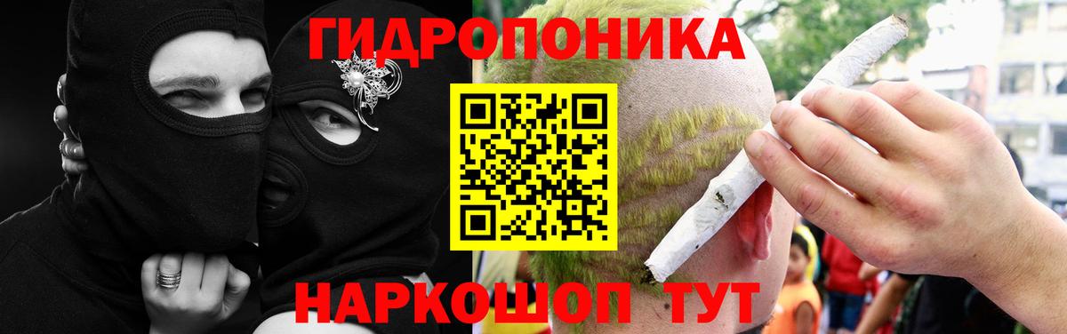 Бошки Шишки семена Ступино